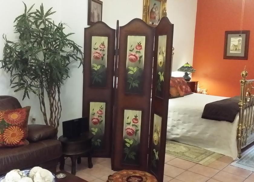 Jalisco Lagos de Moreno Room
