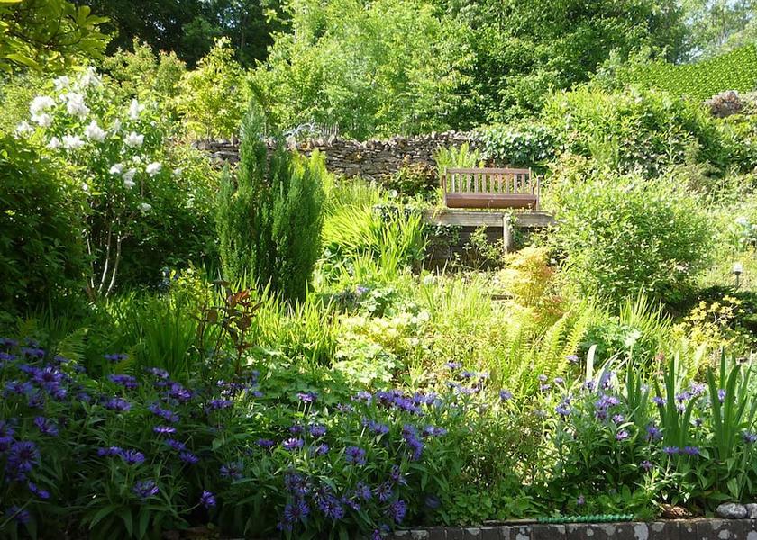 England Totnes Garden