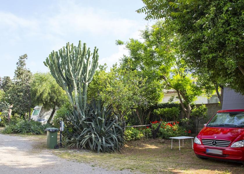 Sicily Palermo Property Grounds