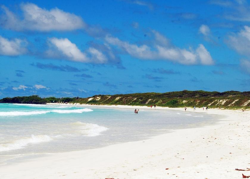 Galapagos Puerto Ayora Beach