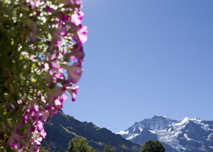 Canton of Bern Lauterbrunnen View from Property