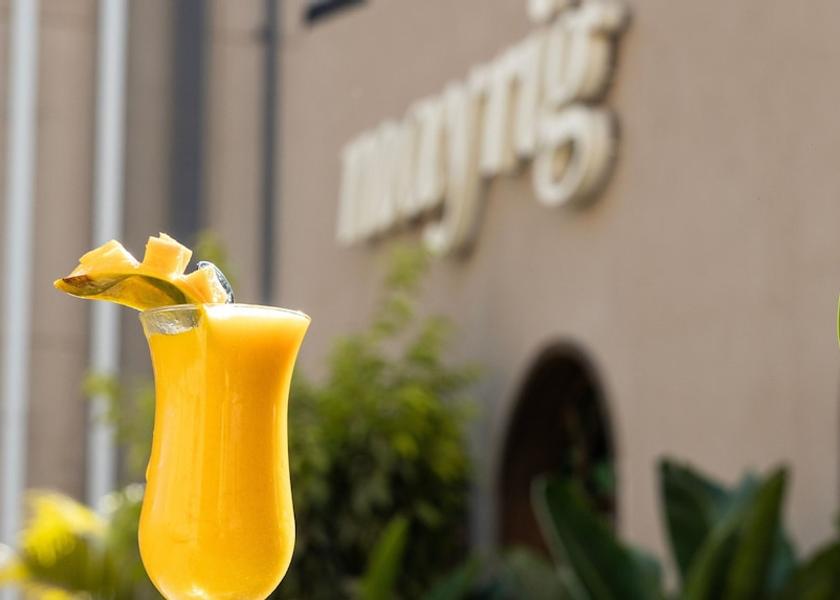 Giza Governorate Sheikh Zayed City Restaurant