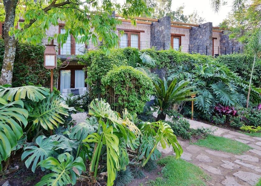 Morelos Tepoztlán View From Room