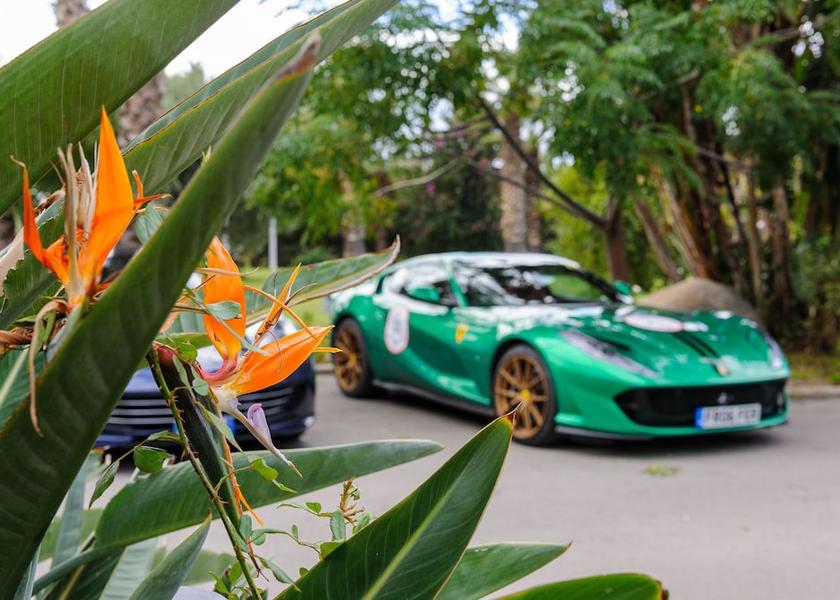 Sicily Campofelice Di Roccella  Garden