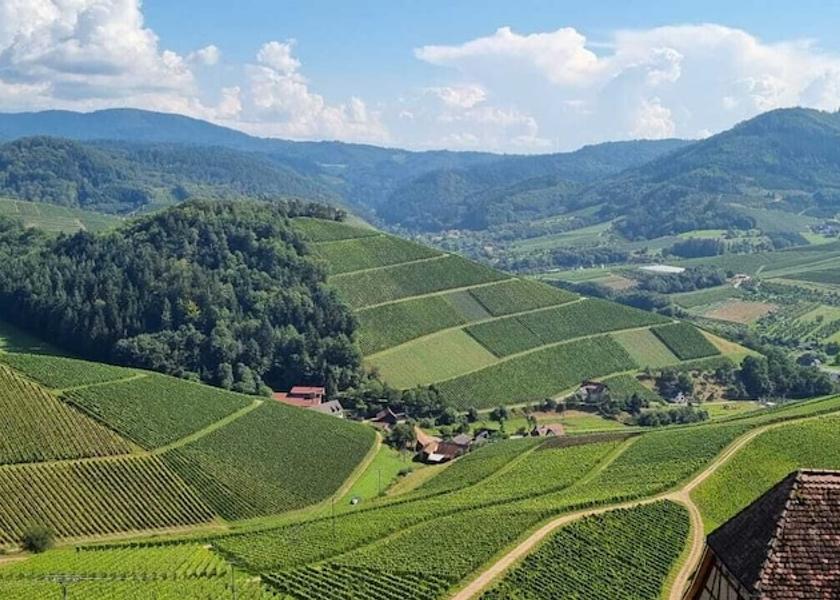 Baden-Württemberg Durbach Land view from property
