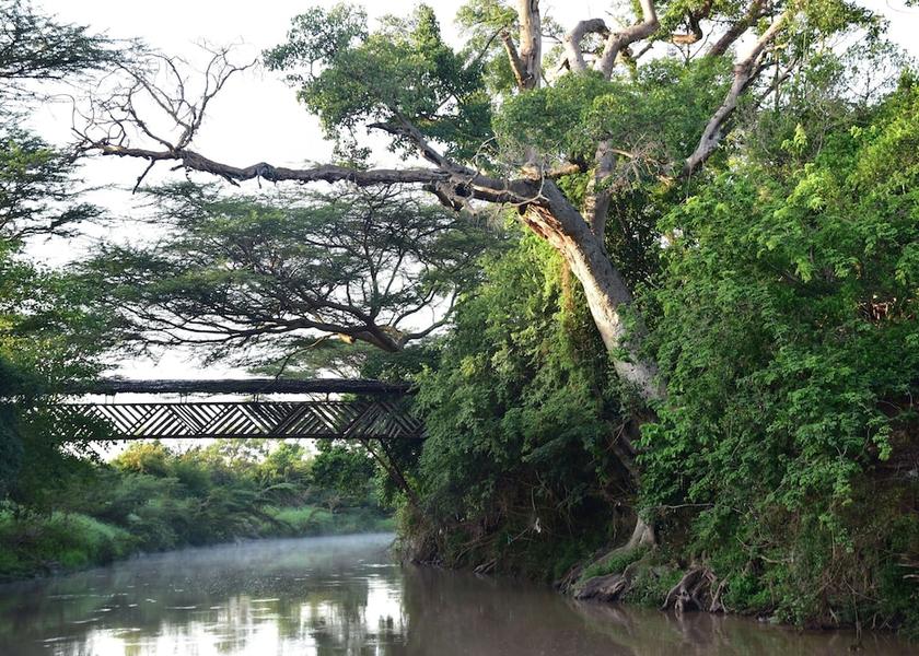  Masai Mara Exterior Detail