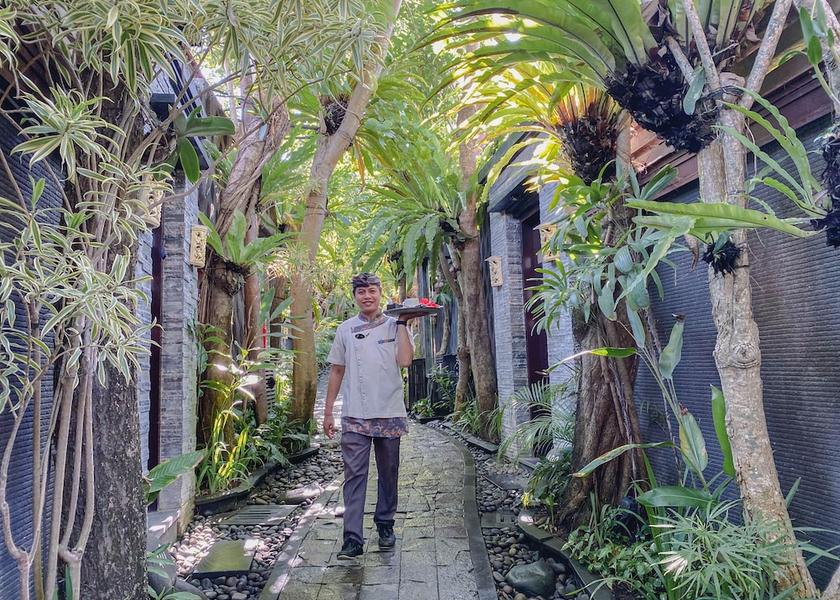 Bali Canggu View from property