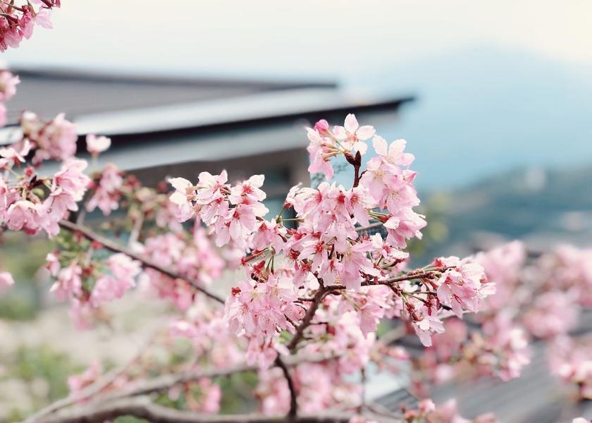 Nantou County Ren'ai View from property