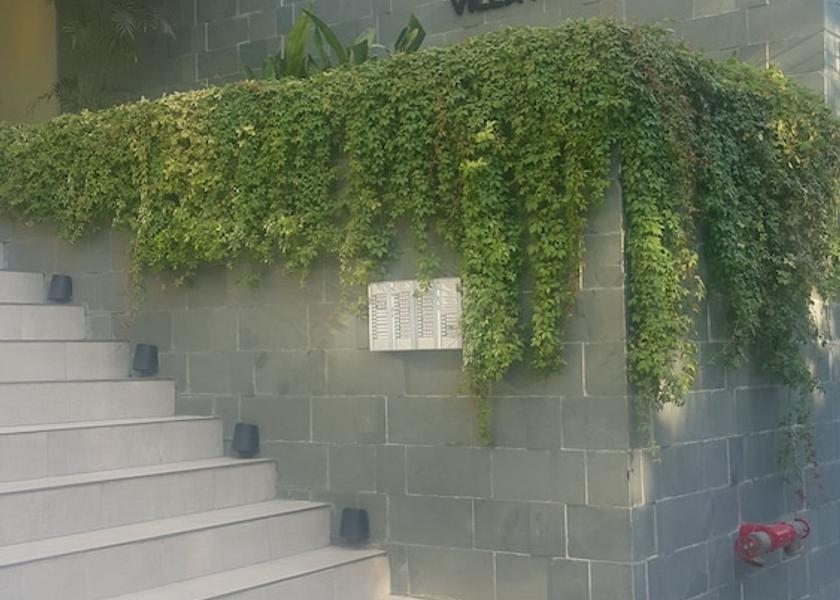  Asuncion Exterior Detail