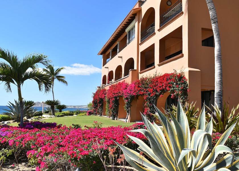 Baja California Sur San José del Cabo Pool