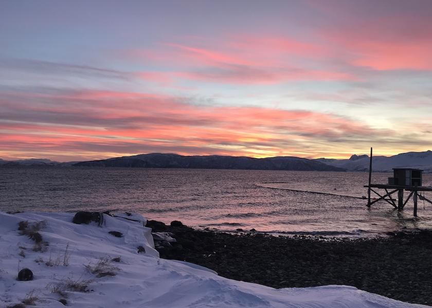 Troms (county) Tromso Dock