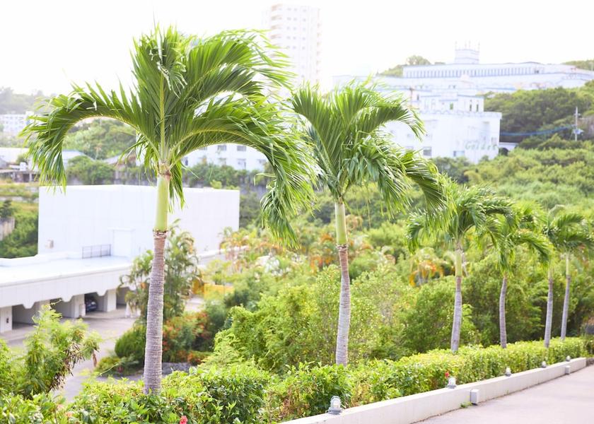 Okinawa Okinawa Exterior