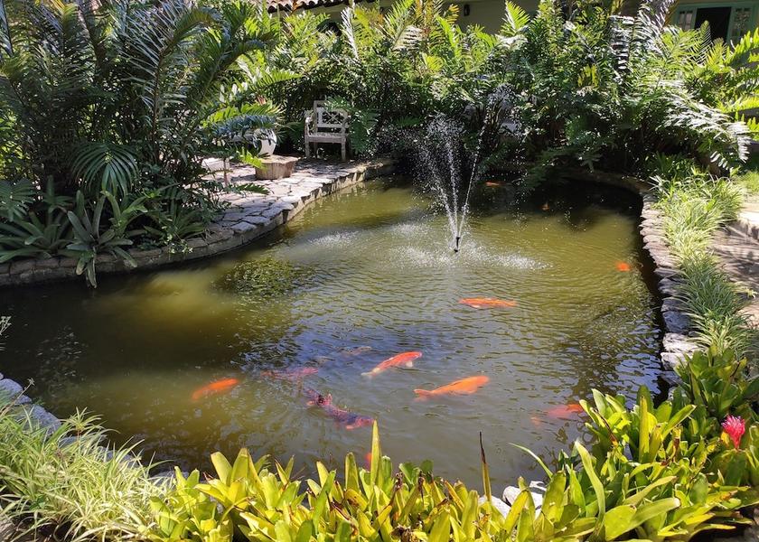 Rio de Janeiro (state) Buzios Lake