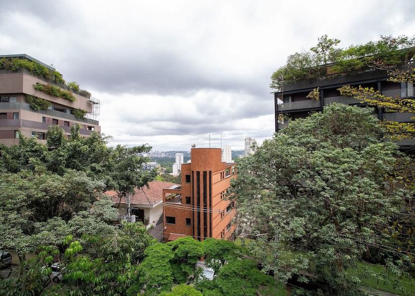 Sao Paulo (state) Sao Paulo Exterior Detail