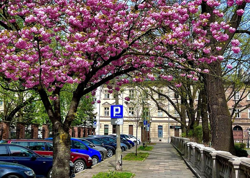 Lesser Poland Voivodeship Krakow Facade