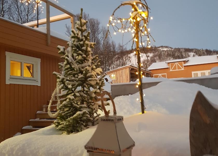 Troms (county) Tromso Garden