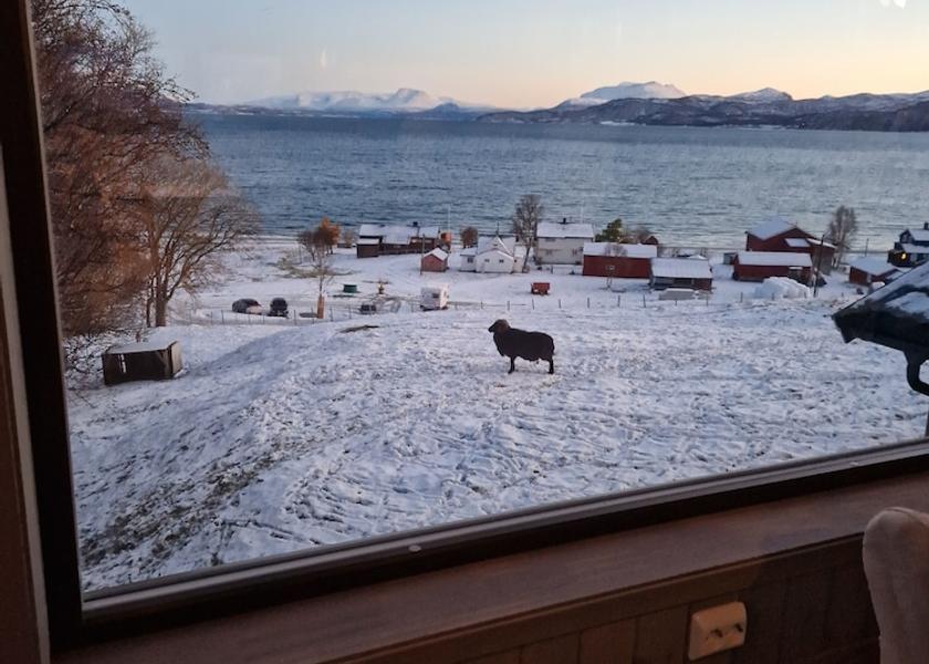Troms (county) Tromso View from Property