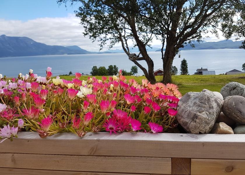 Troms (county) Tromso View from Property
