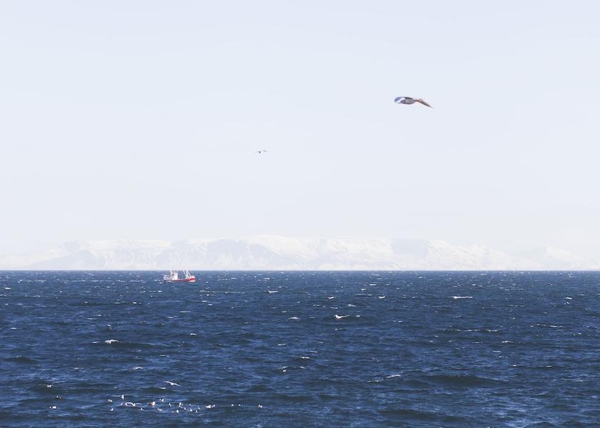 Southern Peninsula Reykjanesbær View from Property