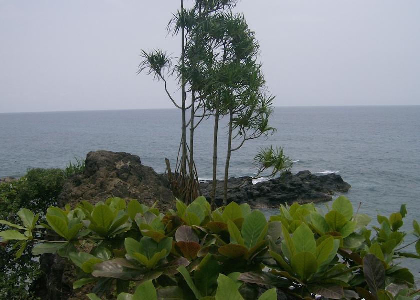  Sao Tome Island Exterior Detail