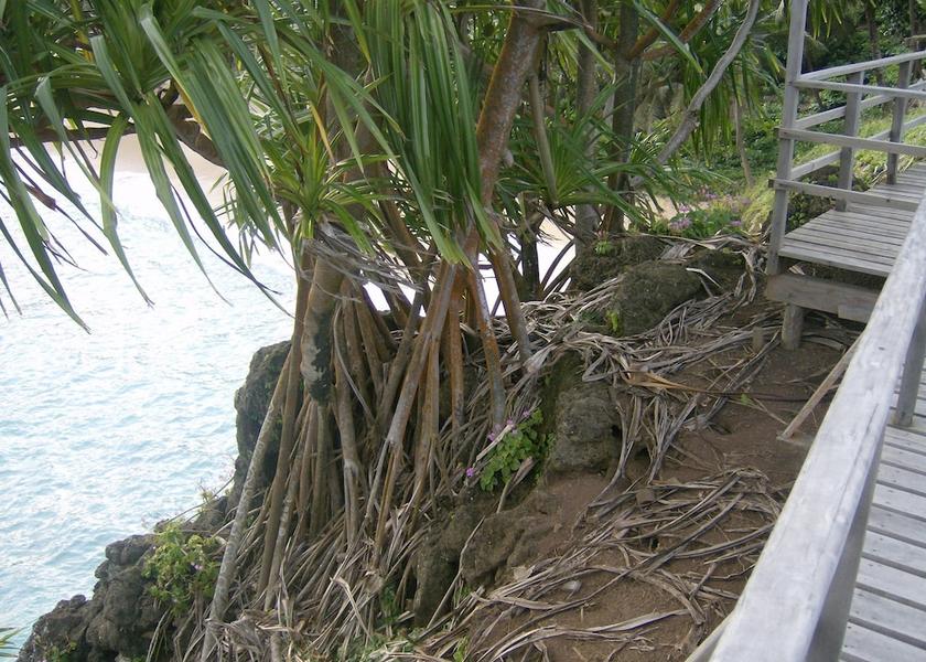  Sao Tome Island Exterior Detail