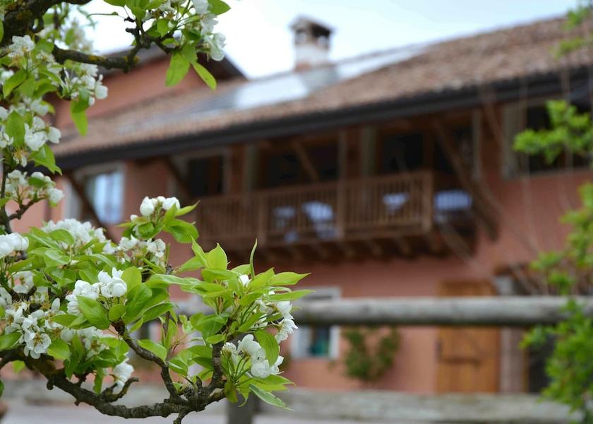 Veneto Belluno Exterior Detail