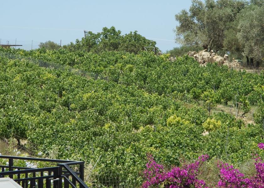 Crete Island Rethymnon View from Property
