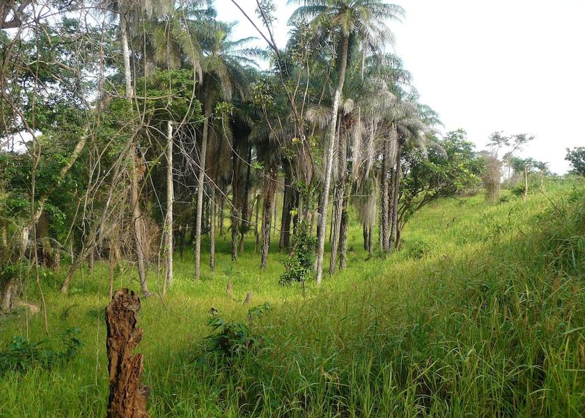  Rubane Exterior Detail