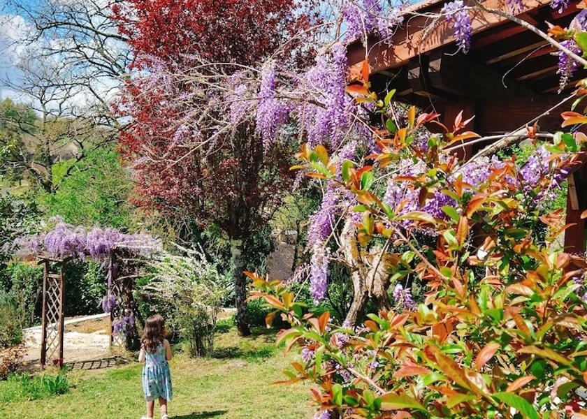 Nouvelle-Aquitaine Sarlat-la-Canéda Garden
