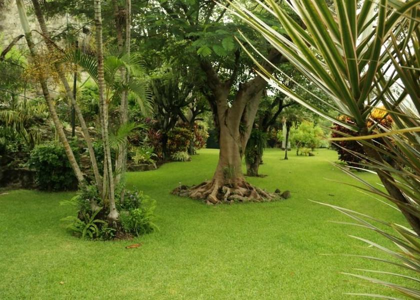 Guatemala (department) Amatitlan Garden