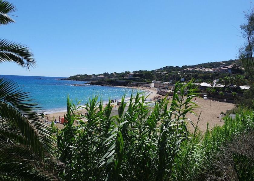 Provence-Alpes-Côte d'Azur Fréjus Beach Bar