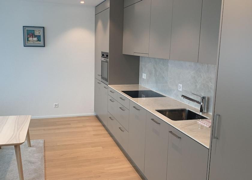 Canton of Zürich Zürich Private kitchen