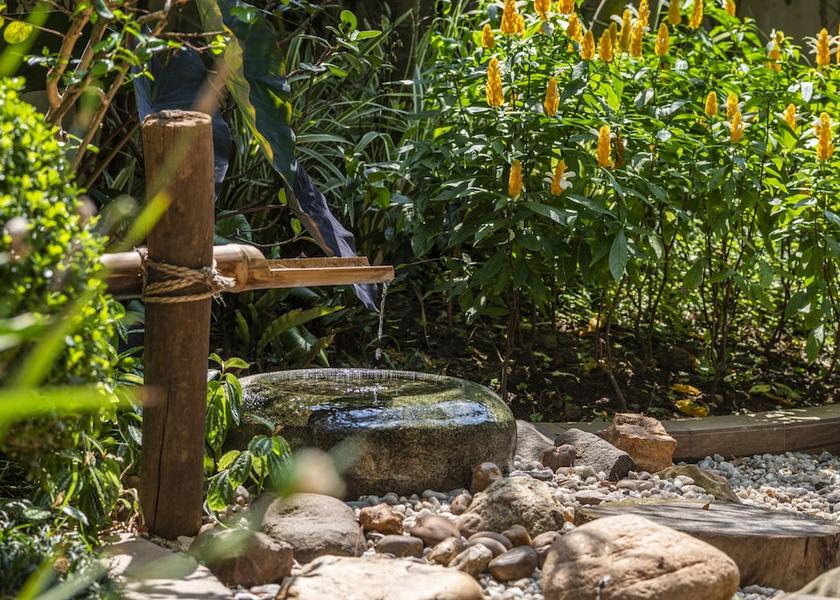 São Paulo State São Paulo Garden