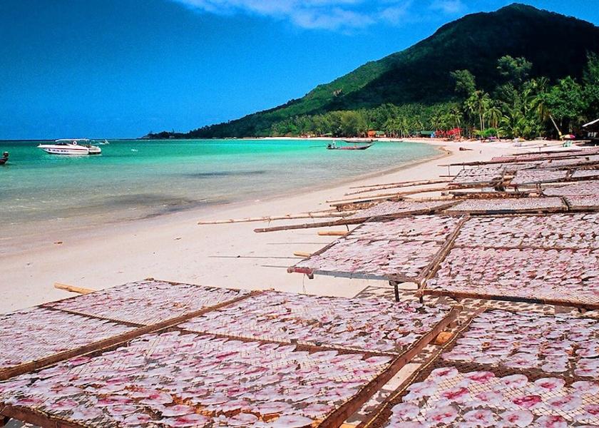 Surat Thani Province Ko Pha-ngan Beach