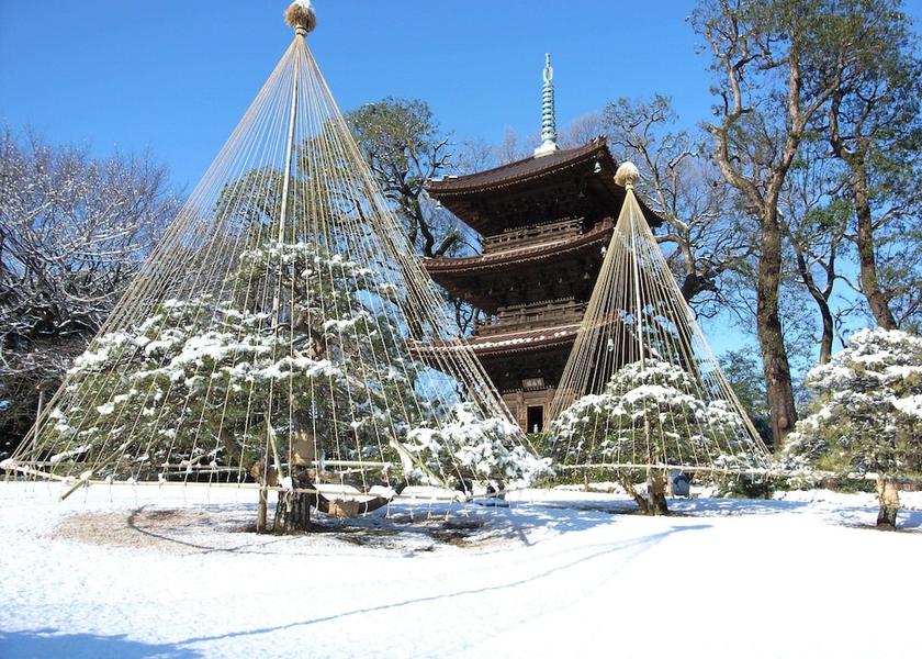 Tokyo Tokyo Garden