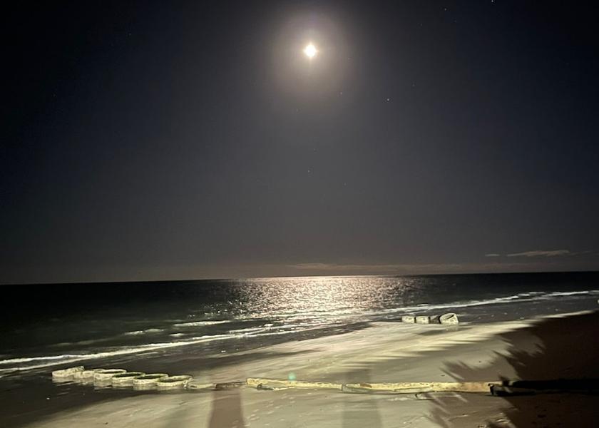 Paraiba (state) Joao Pessoa Exterior Detail