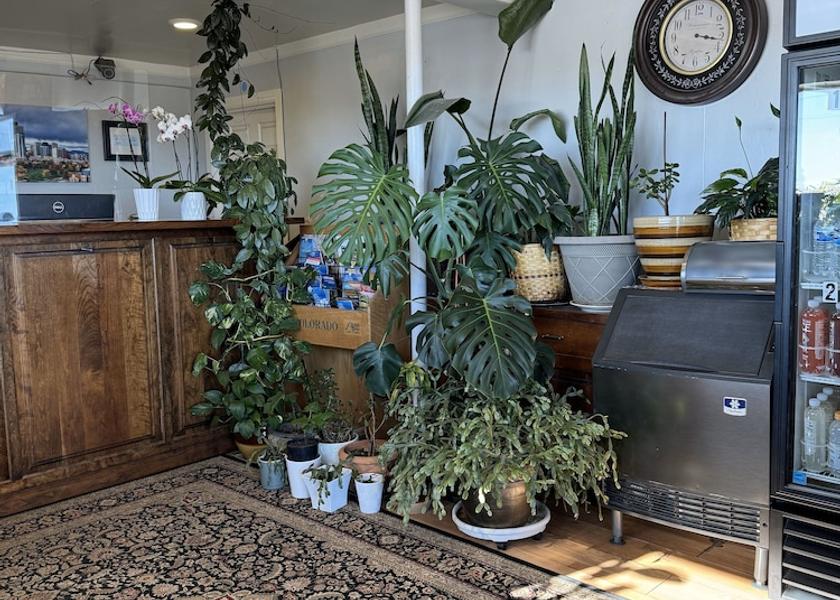 Colorado Watkins Reception