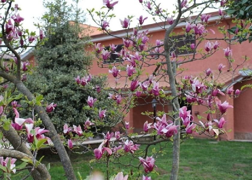 Lazio Labico Garden