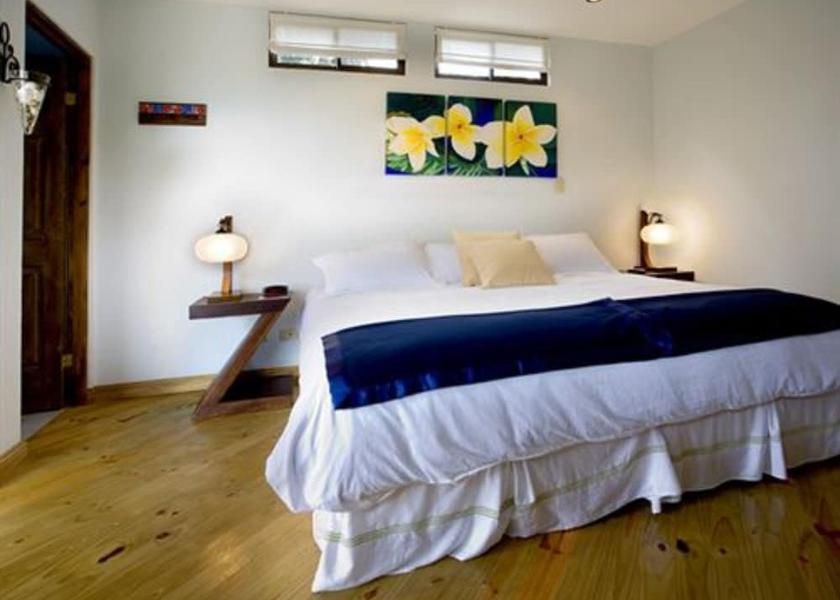 Alajuela Escazu Room