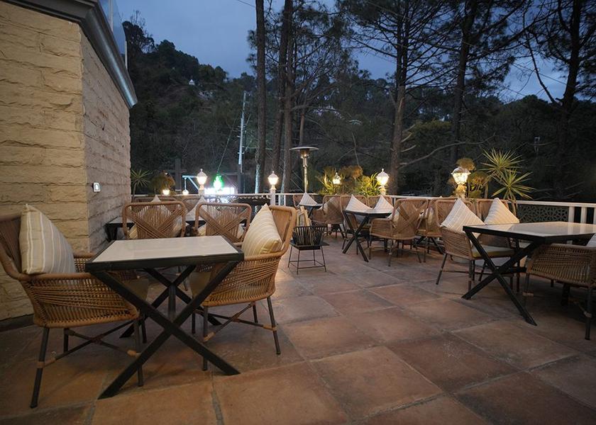 Himachal Pradesh Parwanoo Food and Drink