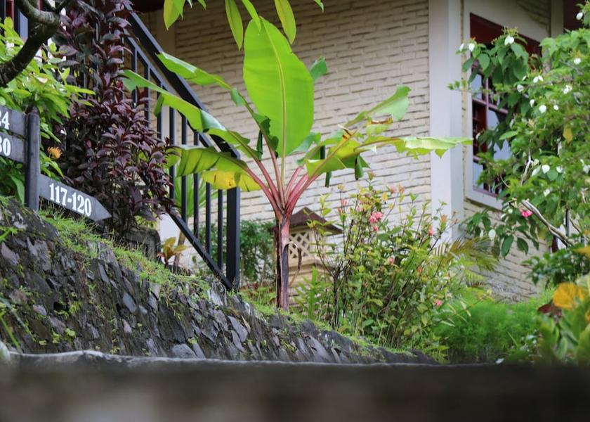  Senggigi Property Grounds