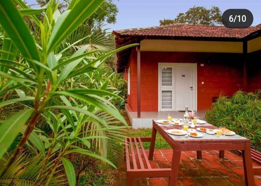 Karnataka Coorg Public Areas