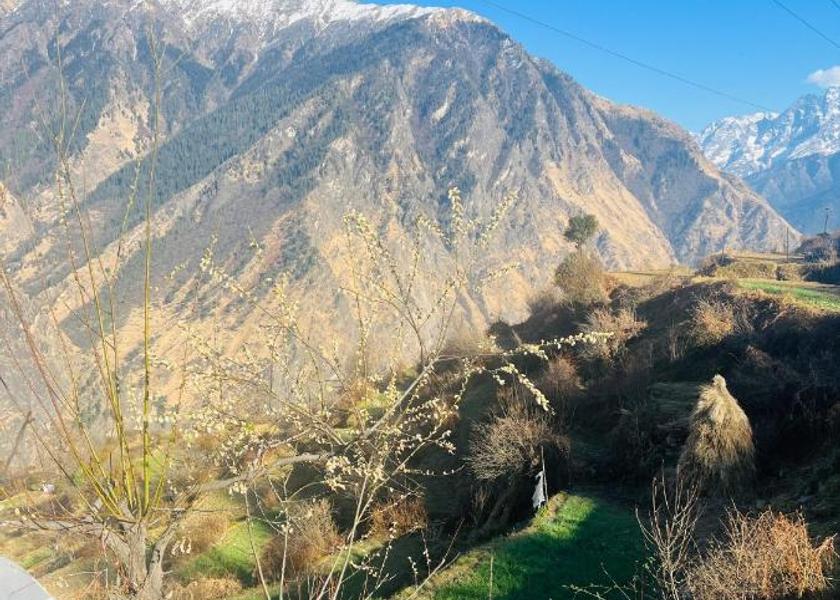 Uttarakhand Joshimath Hotel View