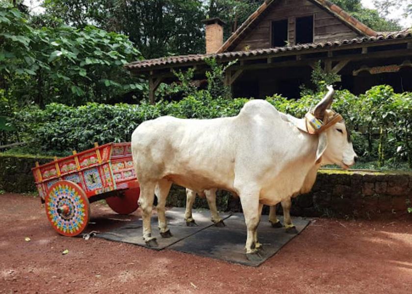 Heredia Province Vara Blanca Ecotours