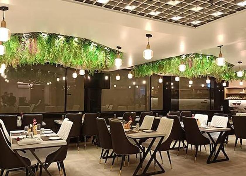 Uttar Pradesh Noida Restaurant