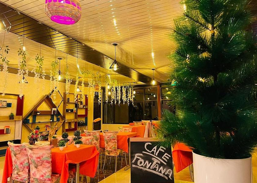 Himachal Pradesh Dharamshala Public Areas