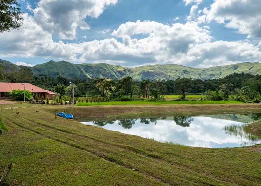 Karnataka Mudigere Hotel View