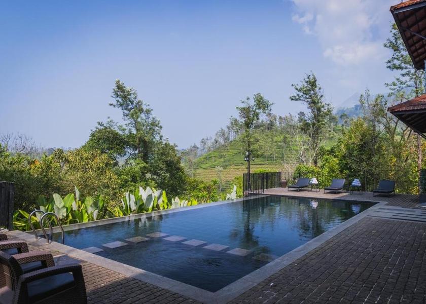 Kerala Wayanad 