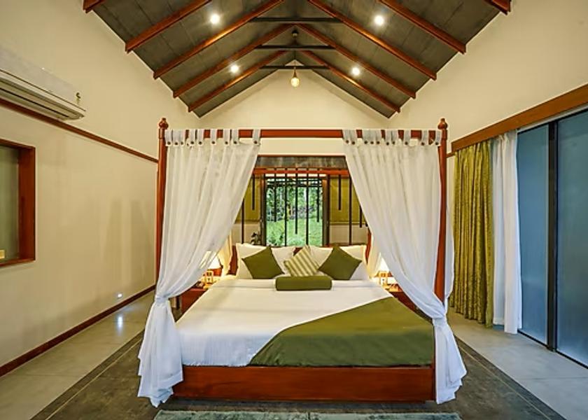 Kerala Wayanad 