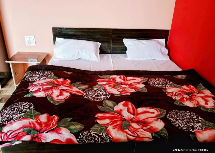 Uttarakhand Dhungali Deluxe Double Room with Balcony